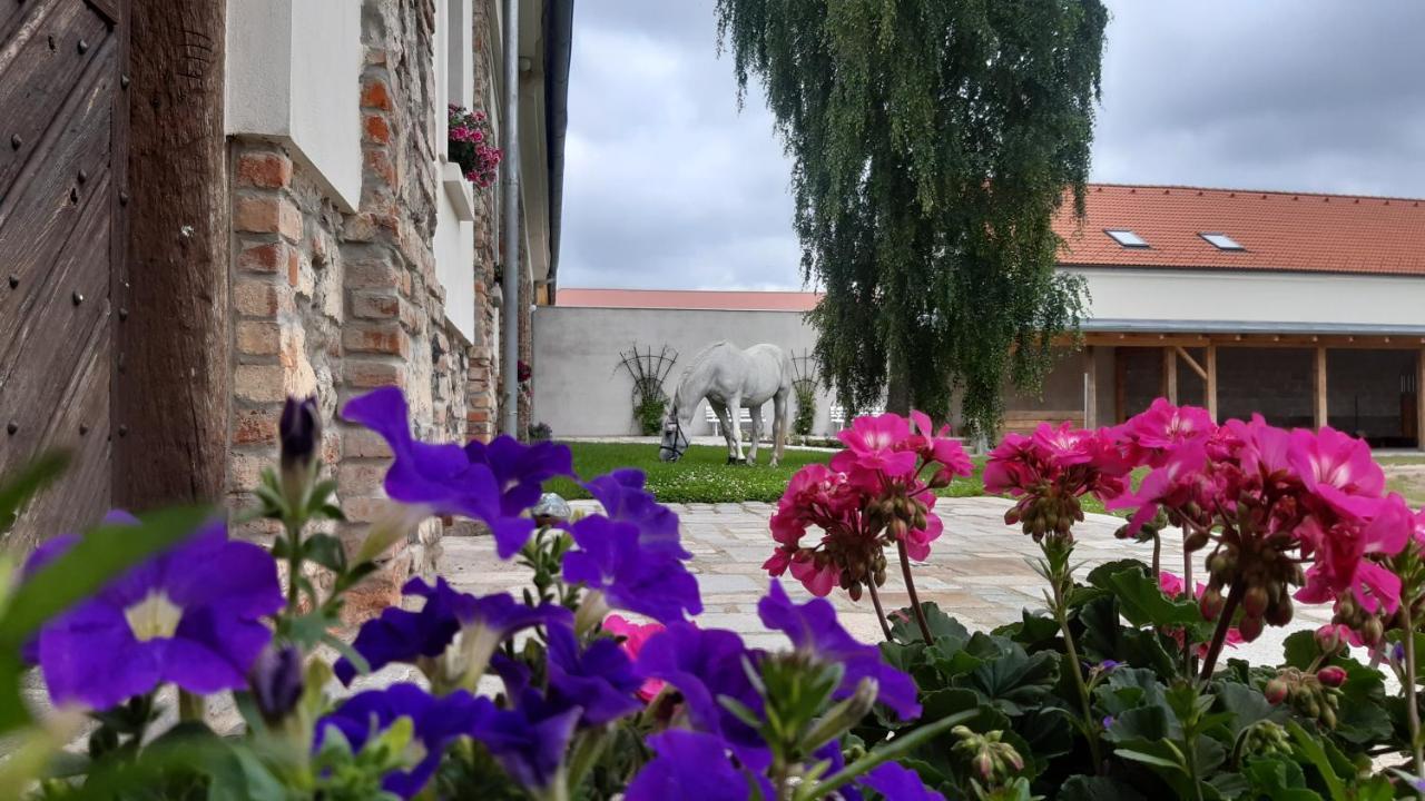 Korn-Hof Lejlighedshotel Kornatice Eksteriør billede